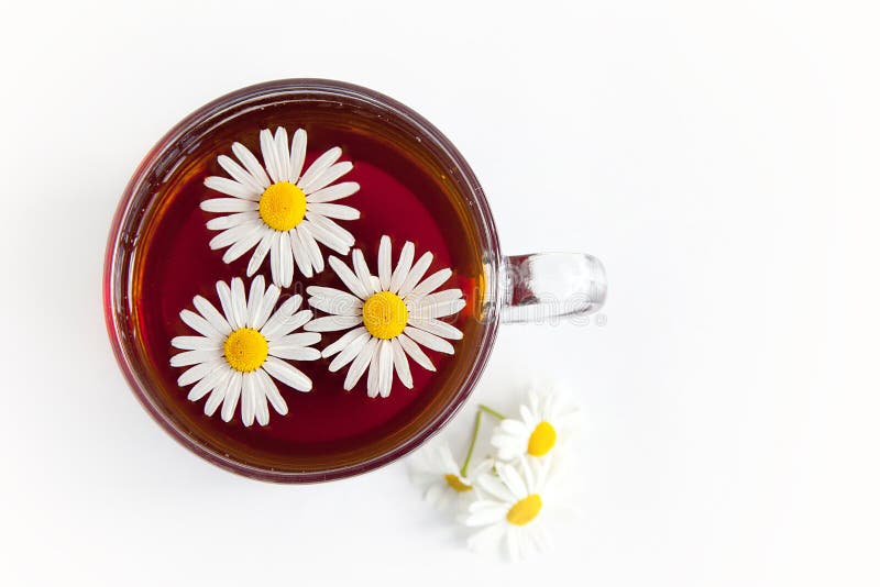 Chamomile tea on white background