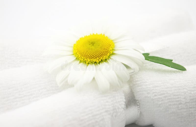 Chamomile with towels