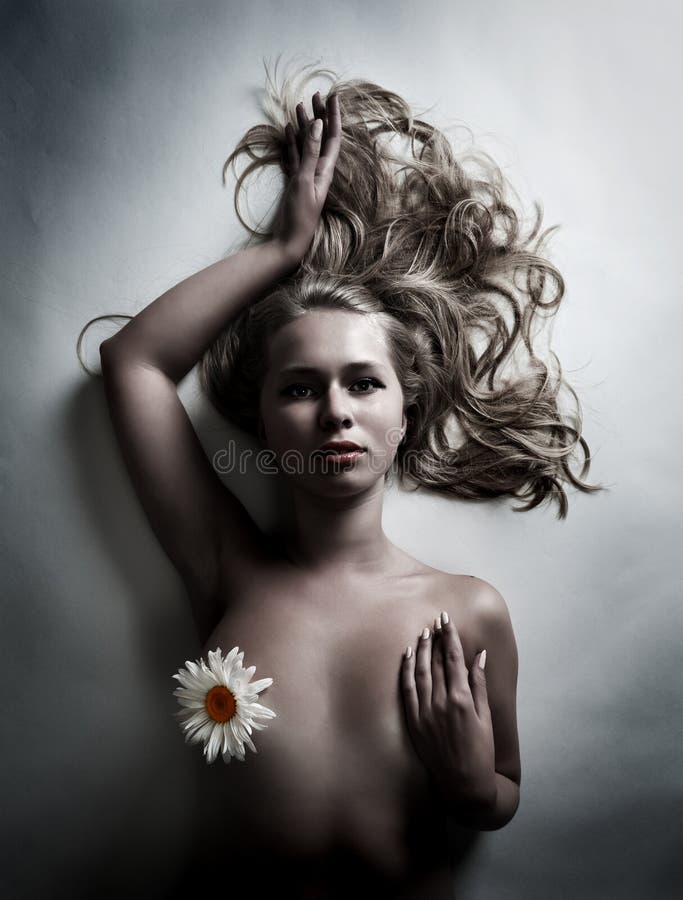 chamomile λευκή γυναίκα λουλ&omicron στοκ φωτογραφίες chamomile λευκή γυναίκα λουλ&omicron στοκ φωτογραφίες