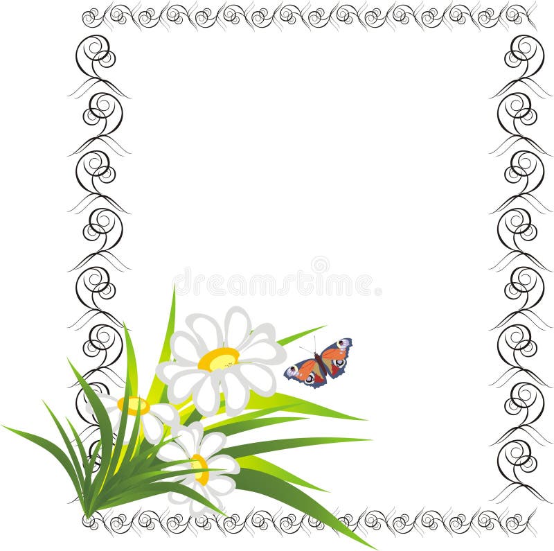 Chamomiles and butterfly in the decorative frame