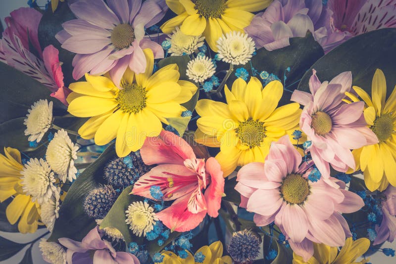 Chamomiles, gerberas και άλλα λουλούδια ως υπόβαθρο ή σκηνικό εικόνα που τονίζεται στοκ εικόνες με δικαίωμα ελεύθερης χρήσης Chamomiles, gerberas και άλλα λουλούδια ως υπόβαθρο ή σκηνικό εικόνα που τονίζεται στοκ εικόνες με δικαίωμα ελεύθερης χρήσης