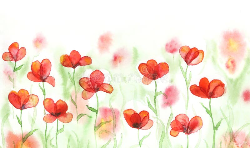 Champ d'aquarelle avec les pavots rouges illustration libre de droits Champ d'aquarelle avec les pavots rouges illustration libre de droits