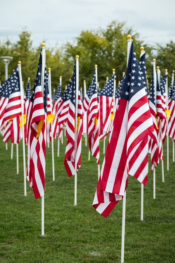 Champ d'herbe des drapeaux américains de jour de vétérans ondulant dans la brise images libres de droits Champ d'herbe des drapeaux américains de jour de vétérans ondulant dans la brise images libres de droits