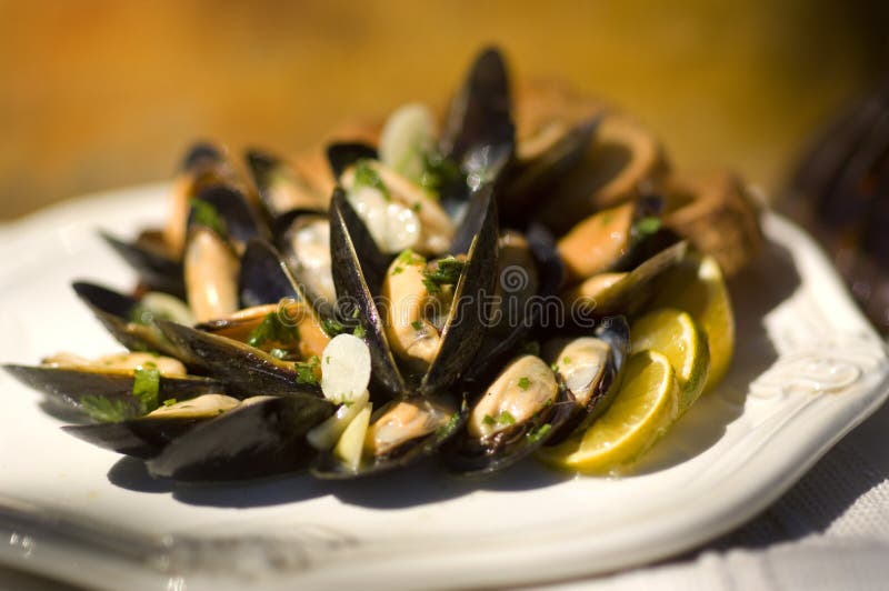 Champ de cablage à couches multiples des moules photographie stock libre de droits Champ de cablage à couches multiples des moules photographie stock libre de droits