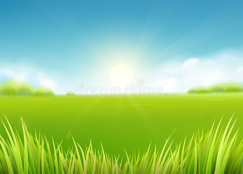 Champ de pré d'été Fond de nature avec le soleil, rayons ensoleillés, paysage d'herbe