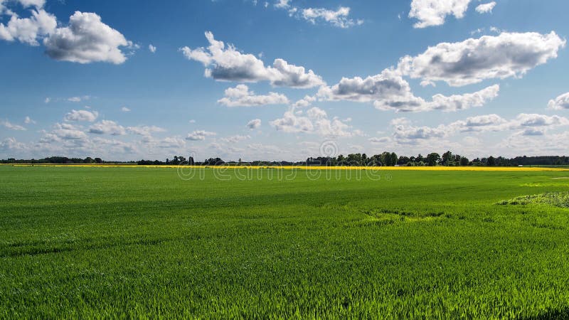 Champ et nuages verts photo stock Champ et nuages verts photo stock