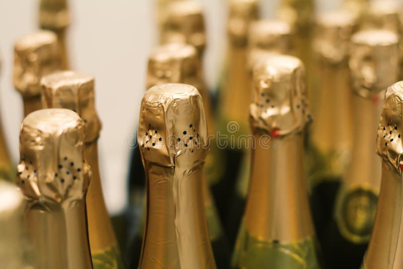 Row of champagne bottles stock photo. Image of foil, celebration 10911246