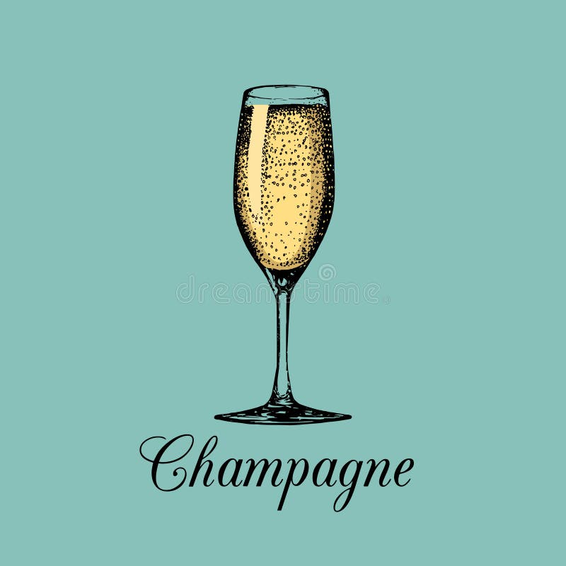 Champagne glass isolated. Vector hand drawn sketch of spumante. Alcoholic drink logo. A white sparkling wine sign.