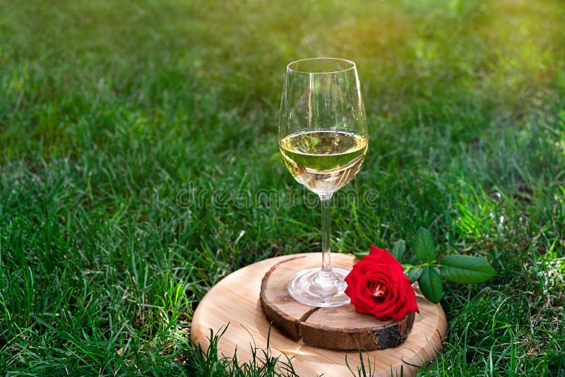 Champagne Glass and Rose Flower in a Spring Garden Stock Image Image