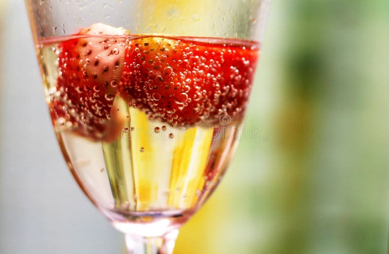 Champagne mit Erdbeeren stockbild. Bild von luftblasen - 2713925