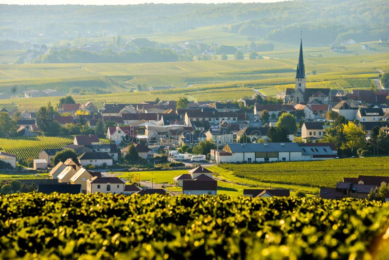 Champagne-Weinberge Sermiers in Marne-Abteilung, Frankreich
