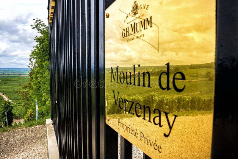 Champagne Wijngaard en windmolen Champagne Region dichtbij Vernezay Frankrijk royalty-vrije stock foto's Champagne Wijngaard en windmolen Champagne Region dichtbij Vernezay Frankrijk royalty-vrije stock foto's