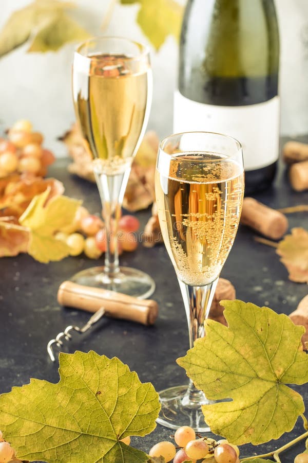 Champagnevin i bakgrunden av glas Livslängd från hösten, inställning av vintesttabell arkivbilder Champagnevin i bakgrunden av glas Livslängd från hösten, inställning av vintesttabell arkivbilder