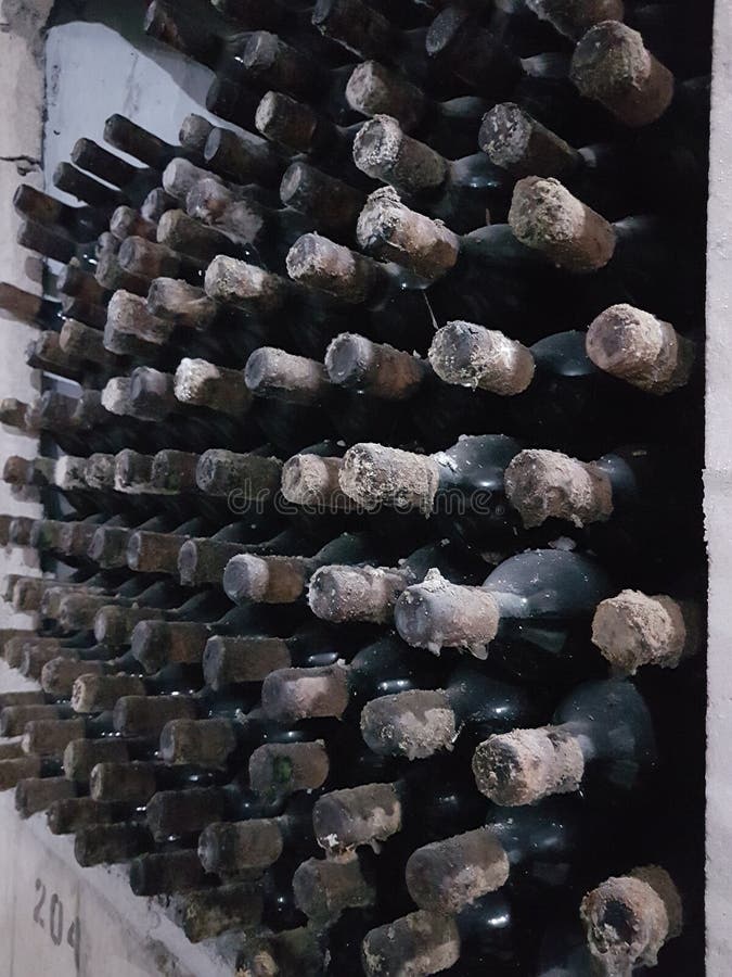 Old Wine Wine Cellar Grape Wine Winery Stock Image Image of mold