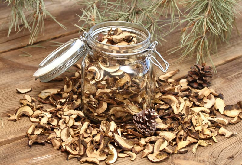 Champi? ones secados foto de archivo