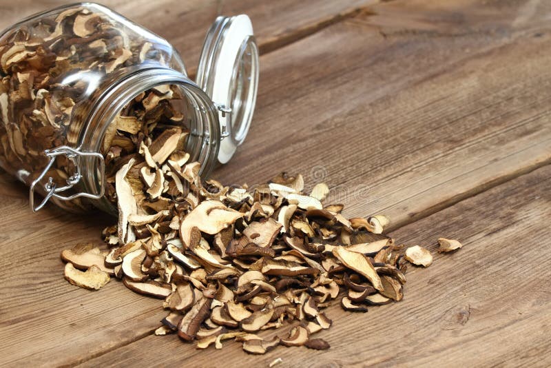 Champi? ones secados imágenes de archivo libres de regalías