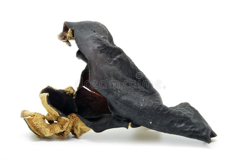 Champignon chinois sec de muer de noir de délicatesse photographie stock libre de droits Champignon chinois sec de muer de noir de délicatesse photographie stock libre de droits