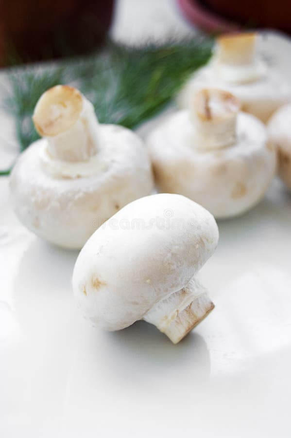 Champignon with green parsley