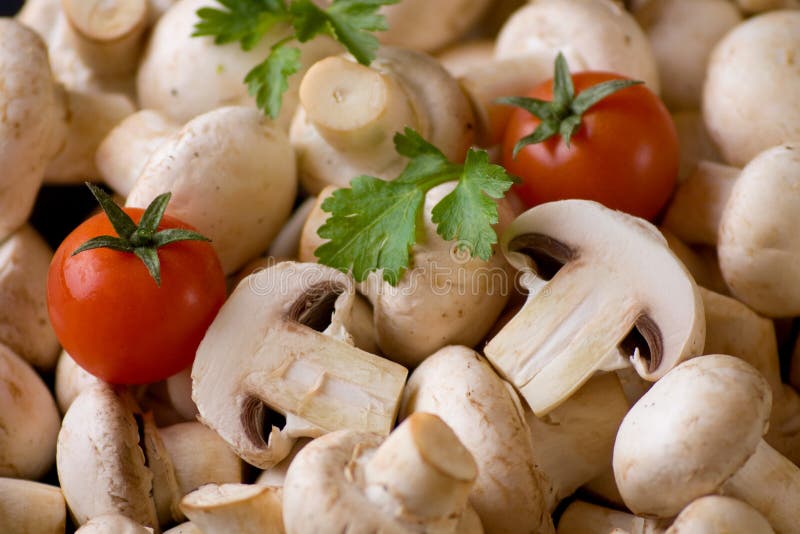 champignon κουμπιών μανιτάρι στοκ εικόνα με δικαίωμα ελεύθερης χρήσης champignon κουμπιών μανιτάρι στοκ εικόνα με δικαίωμα ελεύθερης χρήσης
