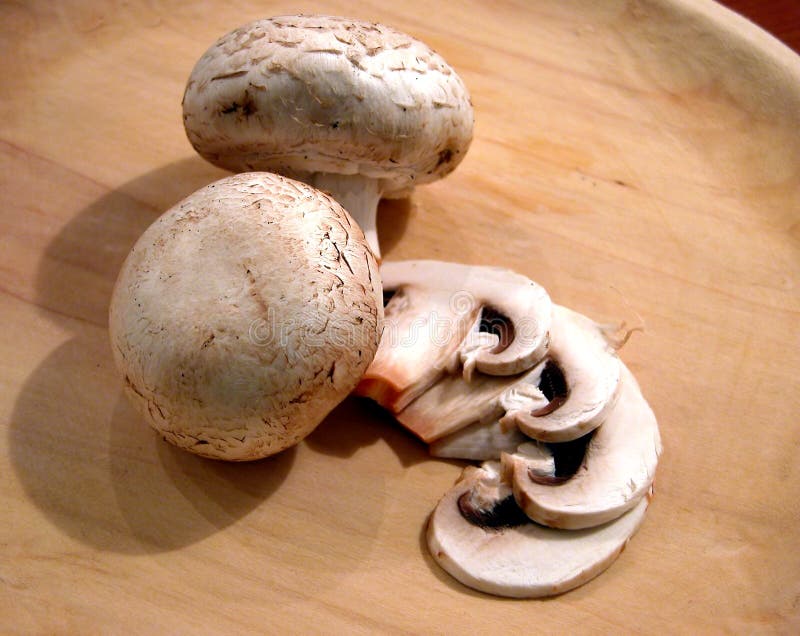 Champignons de couche Champignons de couche