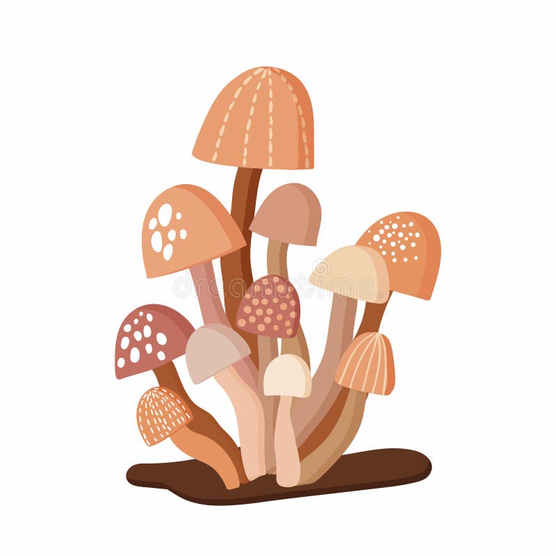 Champignons tirés par la main réglés avec différents éléments d'isolement sur le fond blanc illustration de vecteur Champignons tirés par la main réglés avec différents éléments d'isolement sur le fond blanc illustration de vecteur