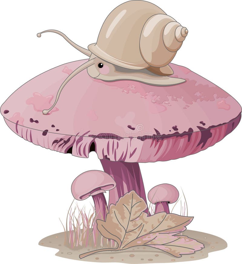 champinjonsnail stock illustrationer champinjonsnail stock illustrationer