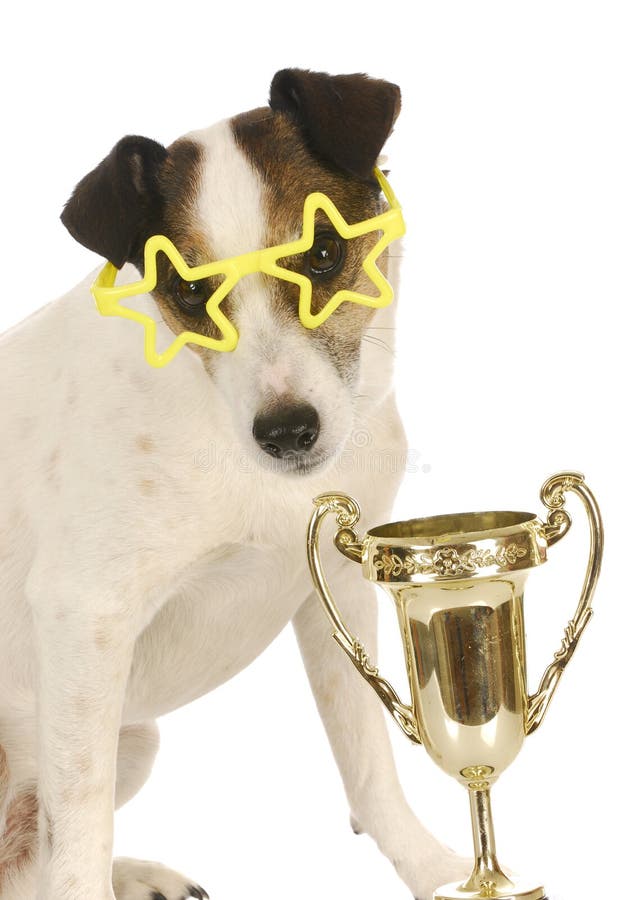champion breed download champion breed download