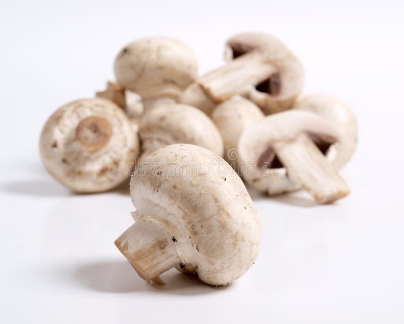 Champiñones foto de archivo