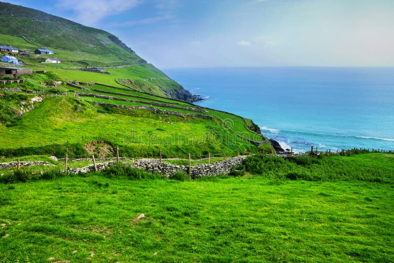 Champs verts le long de la commande côtière de tête de Slea, péninsule de Dingle, comté Kerry, Irlande photos stock Champs verts le long de la commande côtière de tête de Slea, péninsule de Dingle, comté Kerry, Irlande photos stock