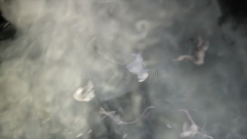 Chanal D Alpha Fumee De Blanc De Png Clips Videos Video Du Animation Dommages