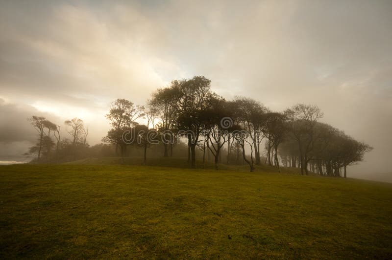 Chanctonbury Ring royalty free stock image