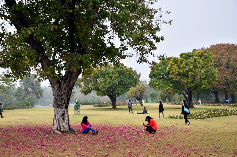 Chandigarh, India - January 4, 2015: Tourist visit Zakir Hussain Rose Garden