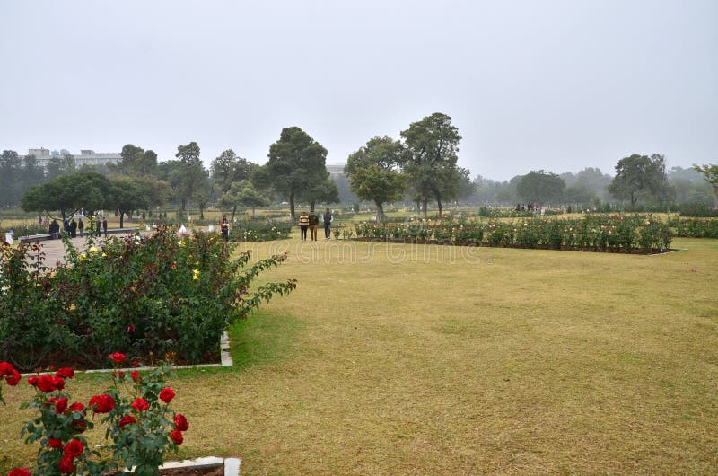 Chandigarh, India - January 4, 2015: Tourist visit Zakir Hussain Rose Garden in Chandigarh.