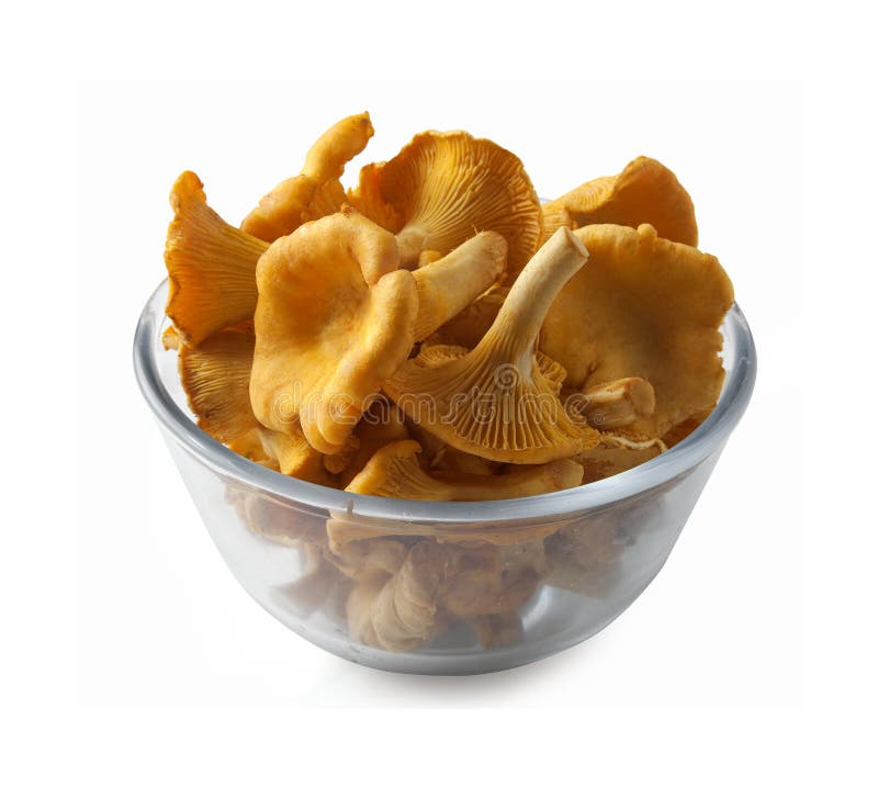 Chanterelles stock photo. Image of plate, chanterelle 20673882
