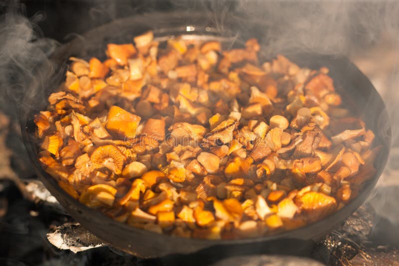 Chanterelles on a fire stock image. Image of gourmet 25544403