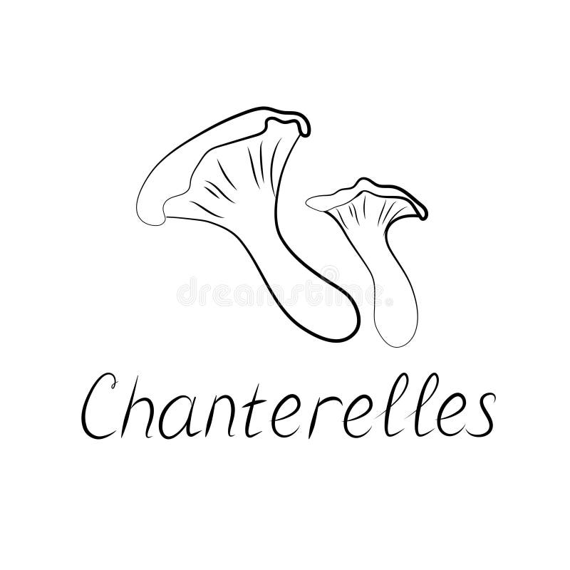 Chanterelles Logo Stock Illustrations 103 Chanterelles Logo Stock