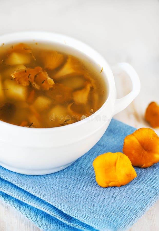 Chanterelle Mushrooms and Fern Stock Image Image of cuisine, fungus