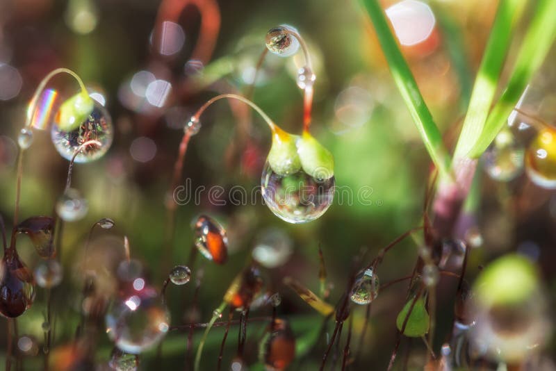 chaos lizenzfreies stockbild chaos lizenzfreies stockbild