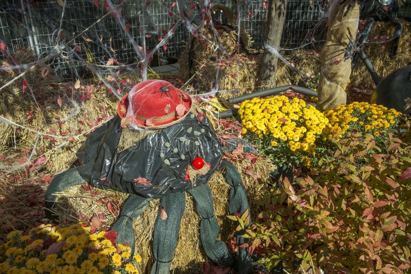 o Dia das Bruxas Almofada,Almofada Sofá Pelúcia Recheada, Halloween  Recheado em Forma Biscoito Redondo, Bruxa Fofa/Gato Preto/Abóbora  Decorações Ação Graças Dalian