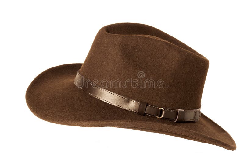 Chapeau de feutre de Brown