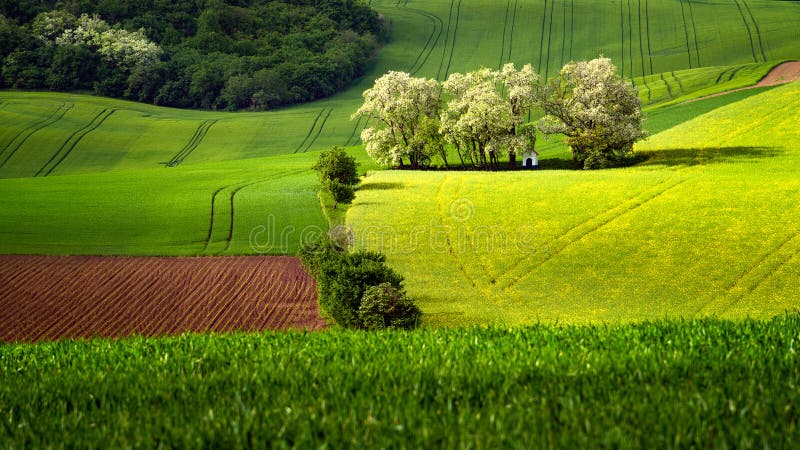 Chapel of St. Barbara in Moravian green fields with trees in the spring time