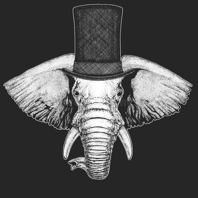 Chapéu alto do elefante, cilindro Animal do moderno, cavalheiro Mantilha clássica Cópia para crianças t-shirt, roupa das crianças ilustração royalty free Chapéu alto do elefante, cilindro Animal do moderno, cavalheiro Mantilha clássica Cópia para crianças t-shirt, roupa das crianças ilustração royalty free