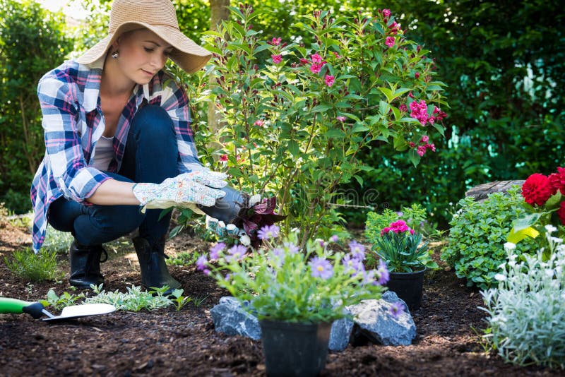 Chapéu de palha vestindo do jardineiro fêmea bonito que planta flores em seu jardim Conceito de jardinagem