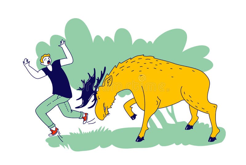 Onkel eller Mister ciffer bagværk Character Escaping from Angry Horned Moose. Man Attacked with Wild Animal.  Danger during Traveling in Forest and Nature Stock Vector - Illustration of  human, attack: 196290865