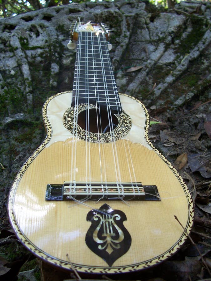 Charango royalty-vrije stock afbeeldingen