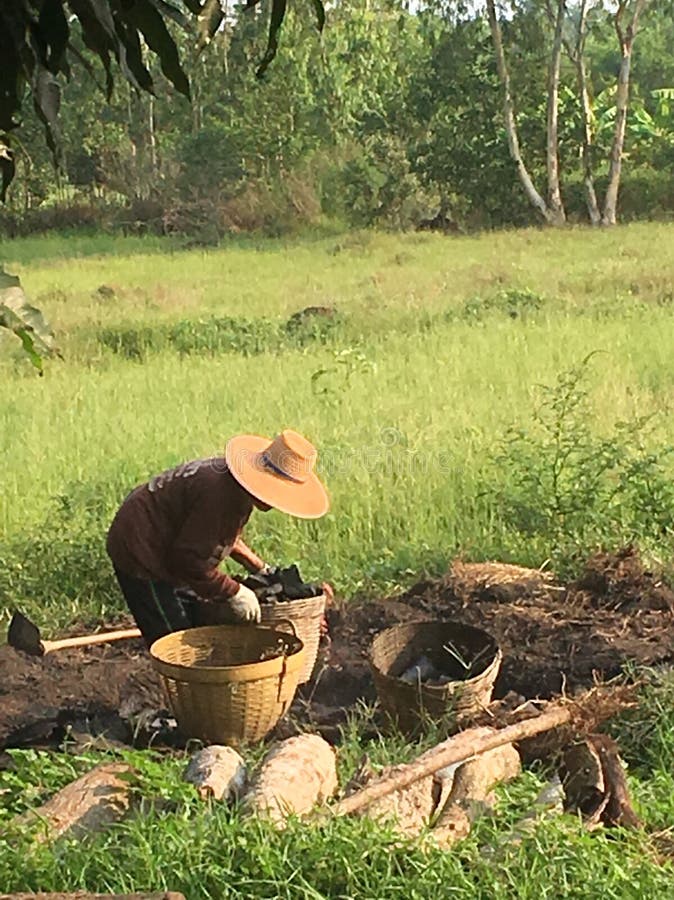 Charcoal burning stock photo. Image of black, thailand 114763352