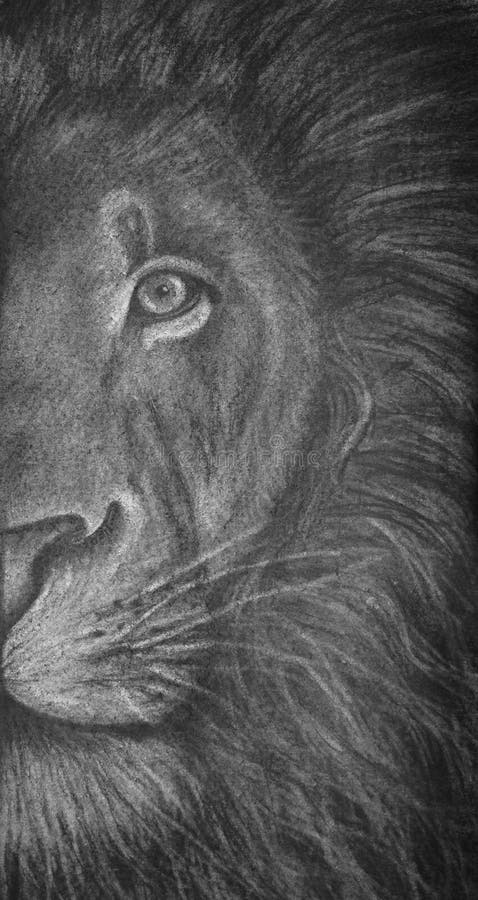 13,432 Lion Black White Stock Photos - Free & Royalty-Free Stock Photos from Dreamstime 13,432 Lion Black White Stock Photos - Free & Royalty-Free Stock Photos From Dreamstime