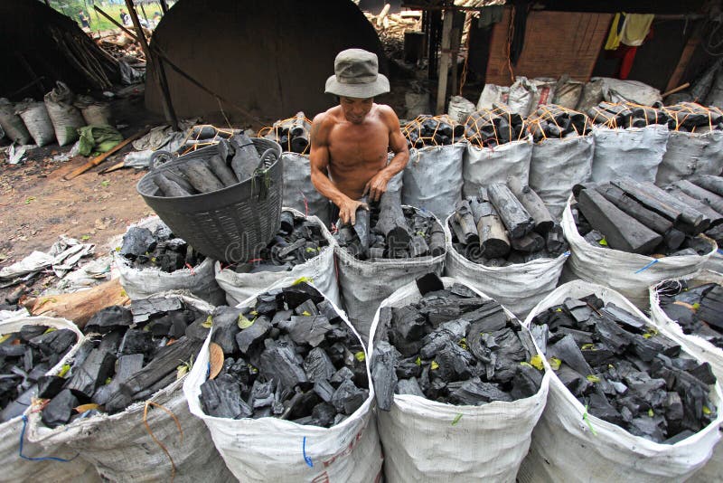 Worker in charcoal factory editorial photo. Image of gloves 34221001