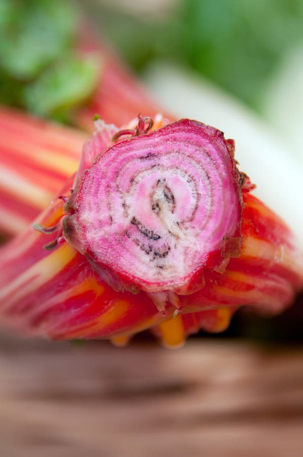 Chard root stock photo. Image of swiss, plant, fresh 32398274