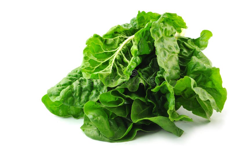 Chard wiązka obrazy royalty free Chard wiązka obrazy royalty free